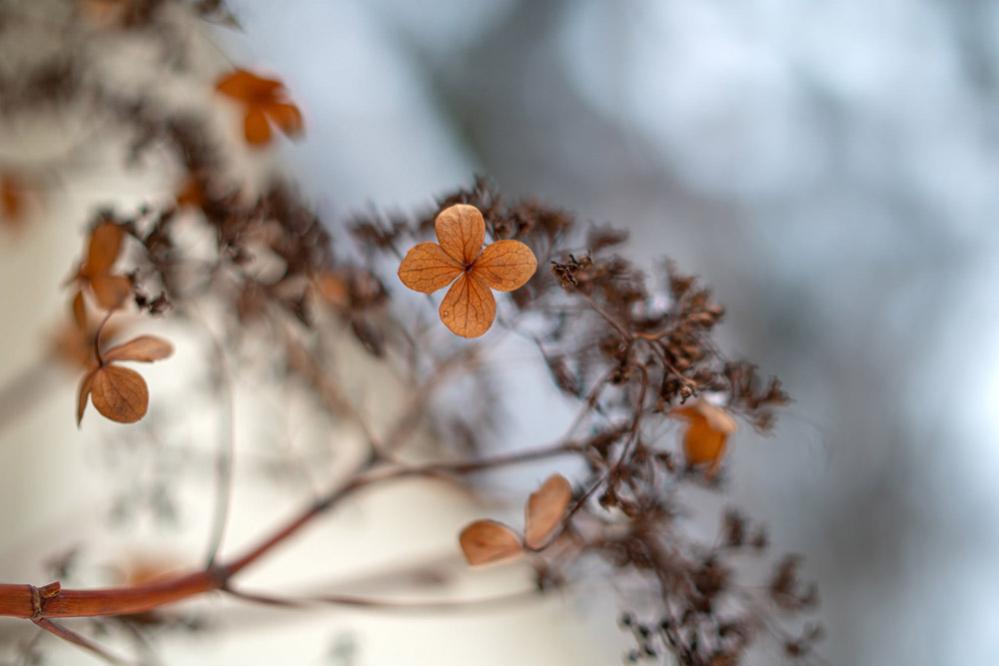  7Artisans 35mm f/0.95 objektiv APS-C för Sony E